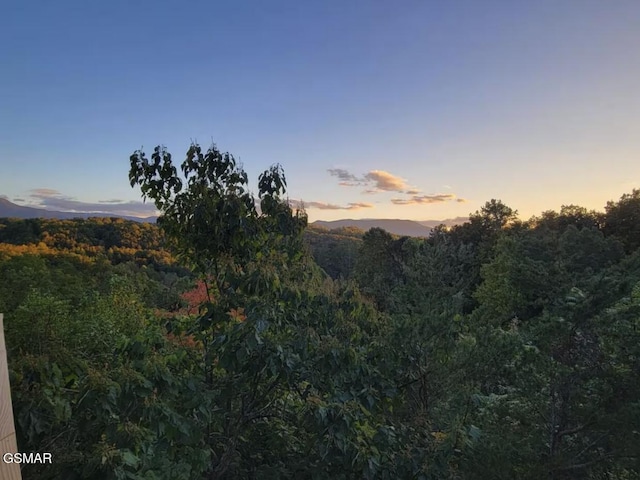 1785 Red Bone Way, Sevierville, TN 37876 - photo 2