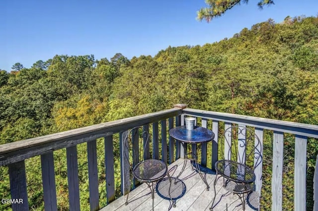 1785 Red Bone Way, Sevierville, TN 37876 - photo 9