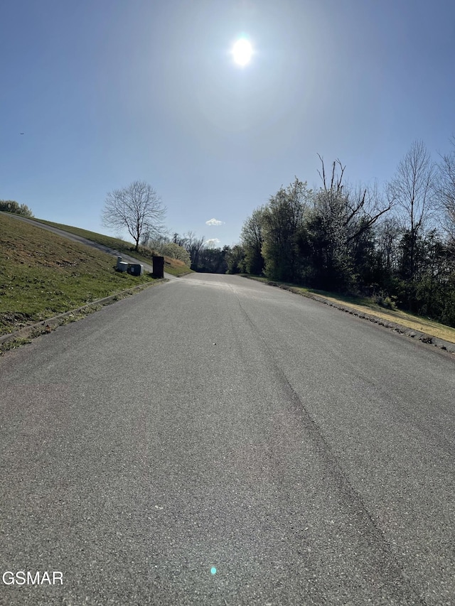 Listing photo 3 for LOT13 Chapman View Dr, Seymour TN 37865