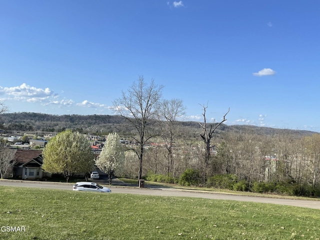 Listing photo 2 for LOT13 Chapman View Dr, Seymour TN 37865