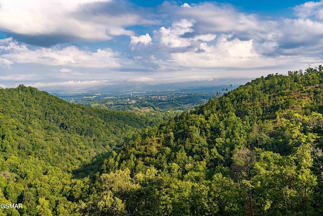 1854 Billard Way, Sevierville, TN 37876 - view of mountain background with a heavily wooded area