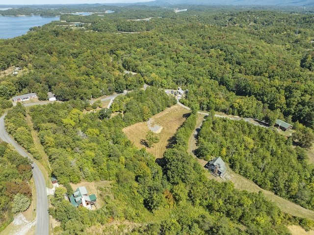 910 Debras Way, Sevierville, TN 37876 - photo 5