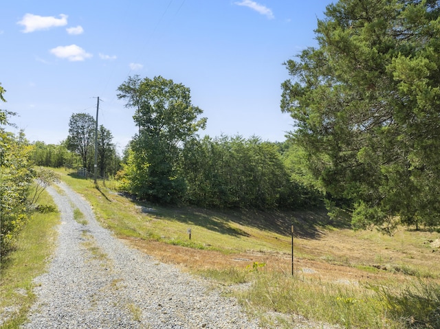 910 Debras Way, Sevierville, TN 37876 - photo 3