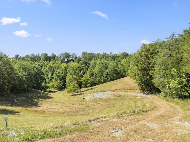 910 Debras Way, Sevierville, TN 37876 - photo 2