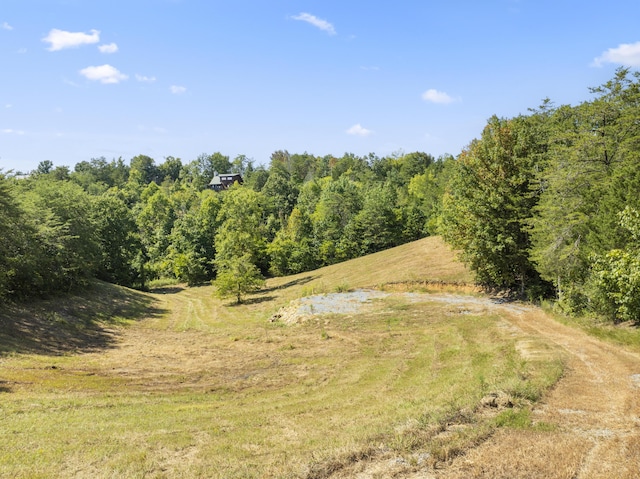 910 Debras Way, Sevierville, TN 37876 - photo 1