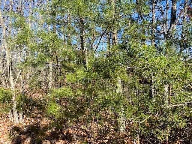 Butternut Ln, Sevierville TN, 37876 land for sale