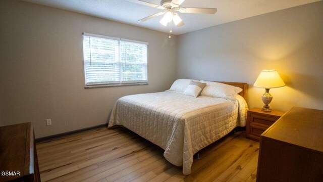 310 Hollywood Cir, Sevierville, TN 37862 - photo 21