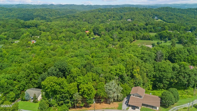 LOT7 Cedar Hills Rd, Sevierville, TN 37862 - photo 9