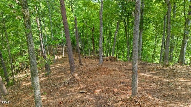 LOT7 Cedar Hills Rd, Sevierville, TN 37862 - photo 5