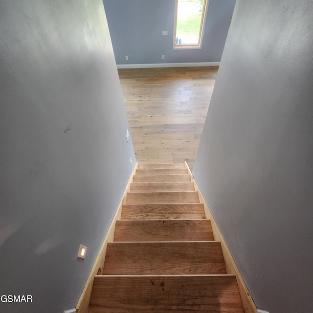 799 Penelope Ln, Sevierville, TN 37876 - photo 33