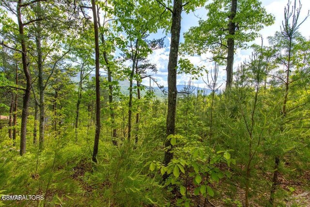 LOT71 Vixen Run, Gatlinburg, TN 37738
