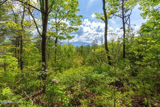 LOT71 Vixen Run, Gatlinburg, TN 37738