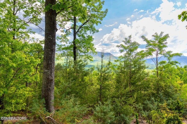 LOT71 Vixen Run, Gatlinburg, TN 37738