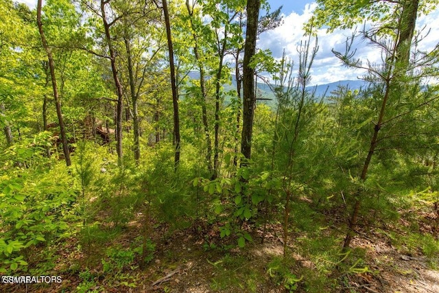LOT71 Vixen Run, Gatlinburg, TN 37738