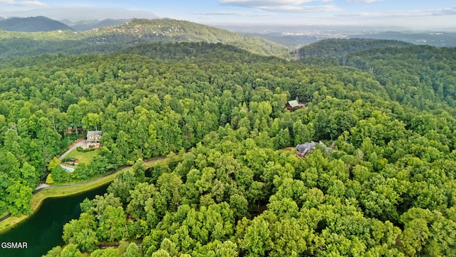 413 Hickory Tree Hollow Rd, Sevierville, TN 37876 - photo 46