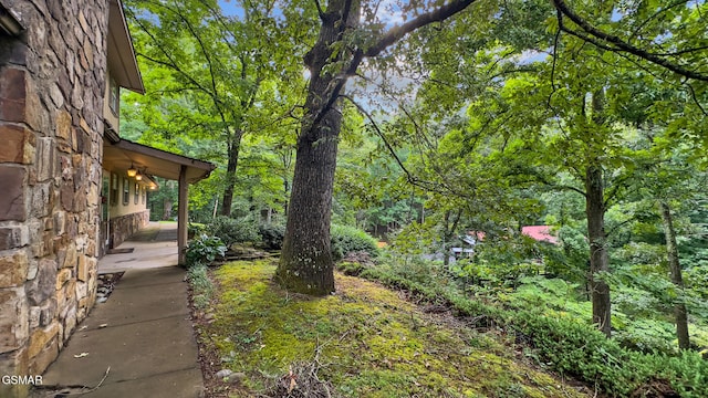 413 Hickory Tree Hollow Rd, Sevierville, TN 37876 - photo 37