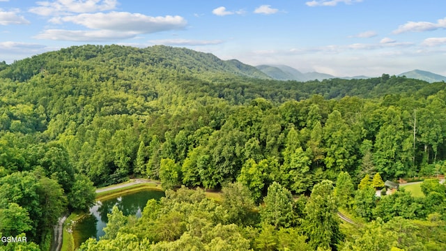 413 Hickory Tree Hollow Rd, Sevierville, TN 37876 - photo 44