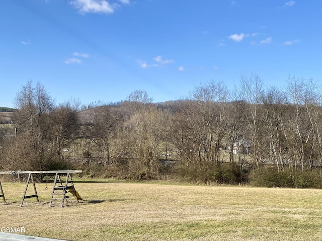 188 Riviera Dr, Newport, TN 37821 - view of yard