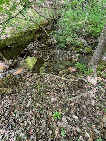 0 Reagan Springs Rd, Seymour, TN 37865