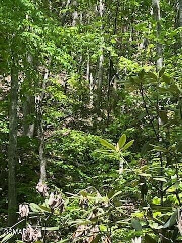 0 Reagan Springs Rd, Seymour, TN 37865
