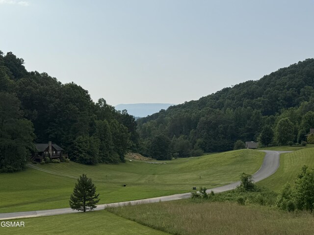 2560 Schisandra Ln, Cosby, TN 37722 - view of property's community featuring a wooded view and a yard