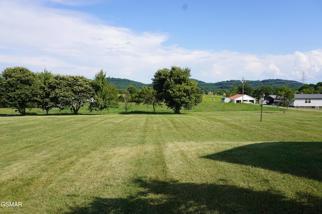 1169 Cotter Rd, Jefferson City, TN 37760 - photo 44