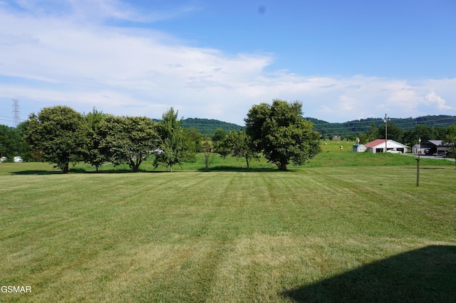 1169 Cotter Rd, Jefferson City, TN 37760 - photo 45