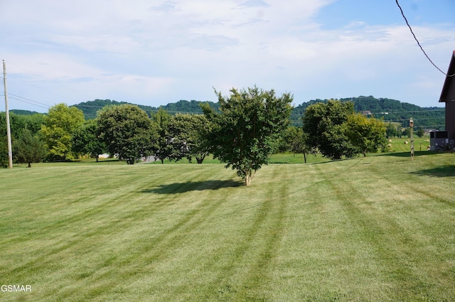 1169 Cotter Rd, Jefferson City, TN 37760 - photo 39