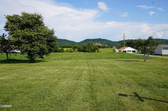 1169 Cotter Rd, Jefferson City, TN 37760 - photo 8