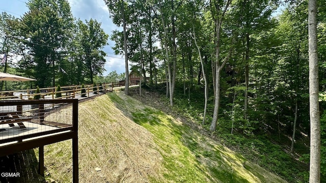 1504 Ginnys Trl, Sevierville, TN 37876 - view of yard with a wooden deck