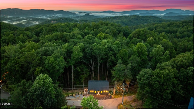 1504 Ginnys Trl, Sevierville, TN 37876 - mountain view with a heavily wooded area