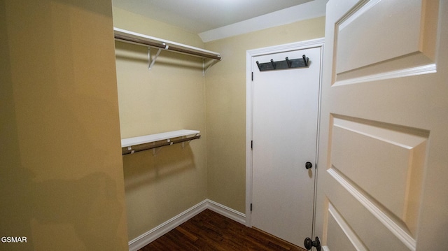 spacious closet featuring dark hardwood / wood-style flooring