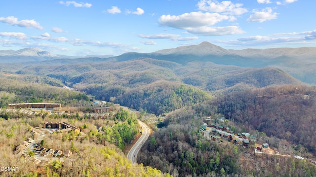 property view of mountains