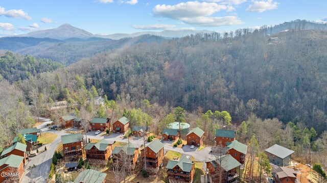 drone / aerial view featuring a mountain view