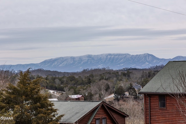 view of mountain feature