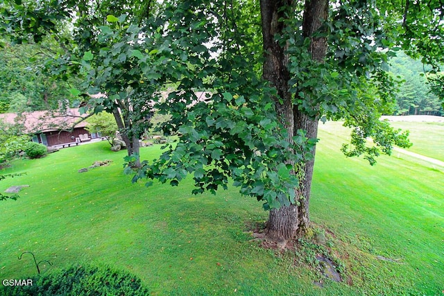 3815 E Parkway Pkwy Apt 4, Gatlinburg, TN 37738 - photo 28