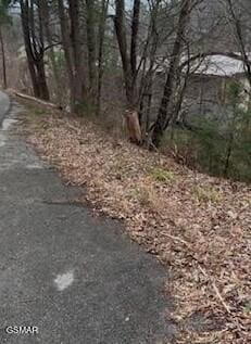 0 Sleepy Hollow Rd, Gatlinburg, TN 37738