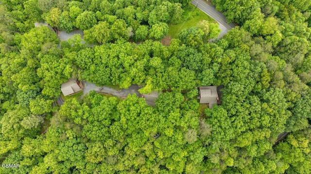 4372 Boogertown Rd Unit 1, Sevierville, TN 37876 - aerial view