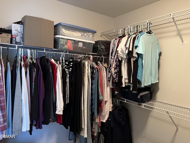 1018 Southwind Cir, Dandridge, TN 37725 - view of spacious closet