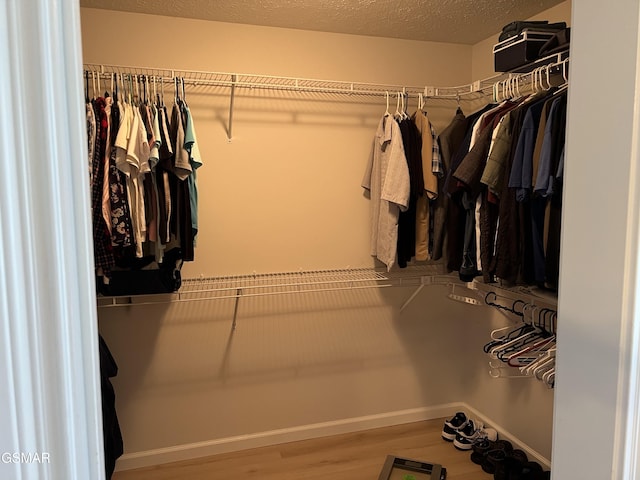 1018 Southwind Cir, Dandridge, TN 37725 - walk in closet featuring wood finished floors