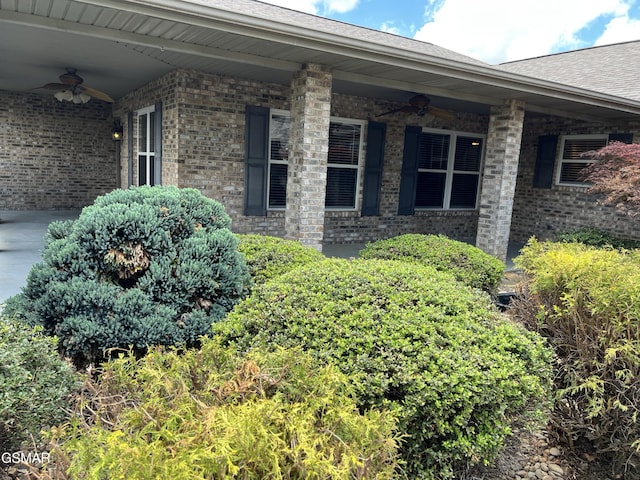 1018 Southwind Cir, Dandridge, TN 37725 - property entrance featuring ceiling fan, brick siding, and a shingled roof