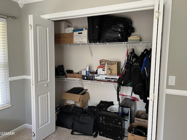 1018 Southwind Cir, Dandridge, TN 37725 - view of closet