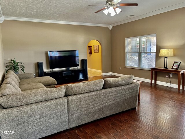 1018 Southwind Cir, Dandridge, TN 37725 - living room with arched walkways, hardwood / wood-style floors, a ceiling fan, crown molding, and a textured ceiling