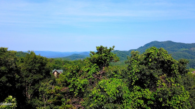 LOT36R Grouse Ridge Ln, Sevierville, TN 37862