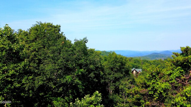LOT36R Grouse Ridge Ln, Sevierville, TN 37862