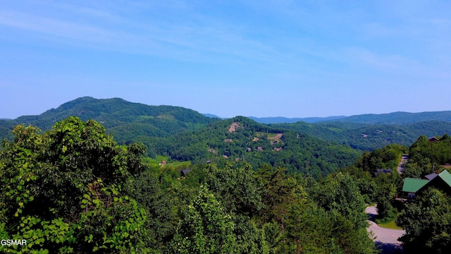 LOT36R Grouse Ridge Ln, Sevierville, TN 37862