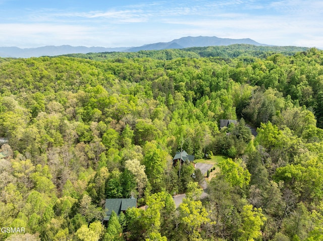 1274 Serenity Ln, Sevierville, TN 37876 - photo 31