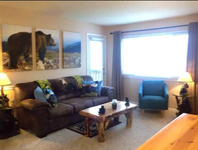 living room with carpet and plenty of natural light