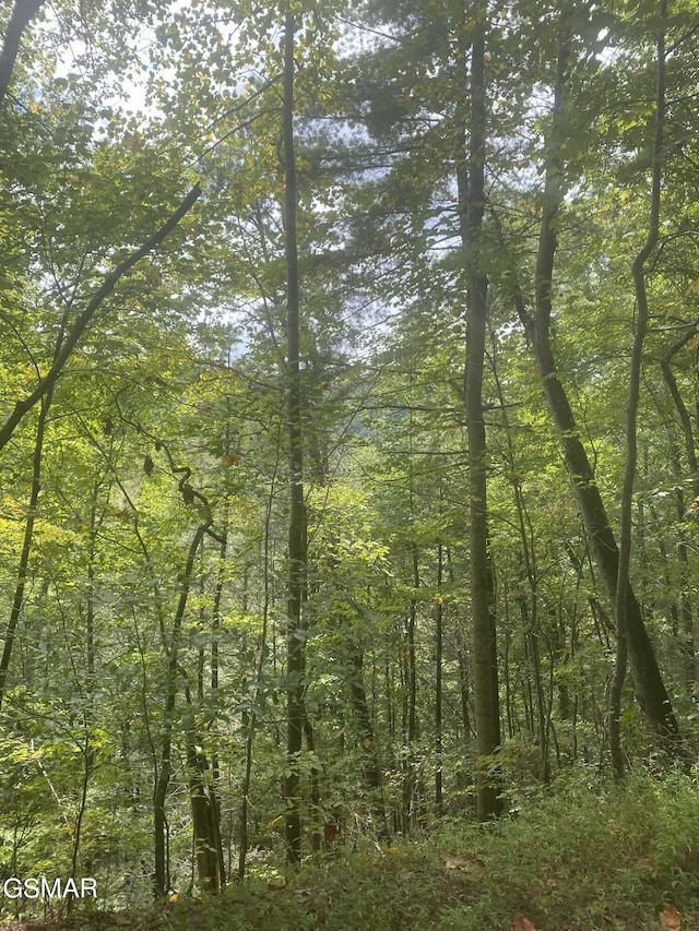 LOT9 Sunset Rd, Sevierville, TN 37876