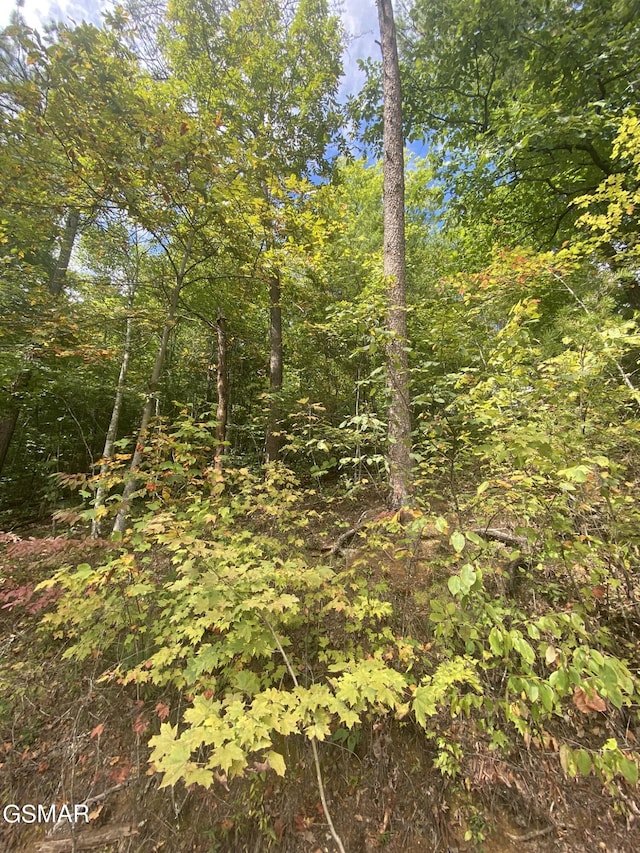 LOT9 Sunset Rd, Sevierville, TN 37876